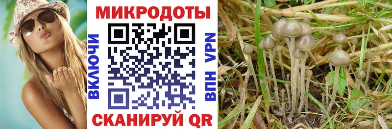 Галлюциногенные грибы Psilocybe  как найти закладки  Алексин 
