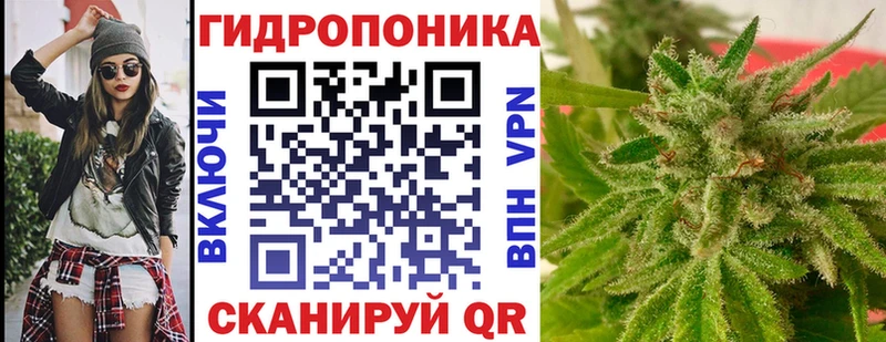 Каннабис сатива  закладки  Алексин 