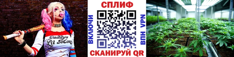 Каннабис Amnesia Алексин